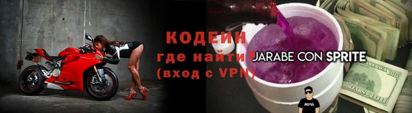 стаф Богданович