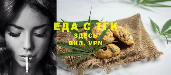 стаф Богданович