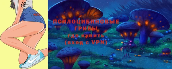 прущий лед Болотное